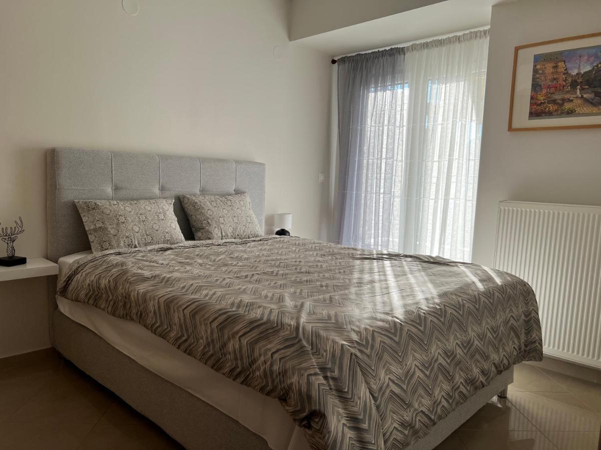 Silverline Comfort Apartment 塞萨洛尼基 外观 照片
